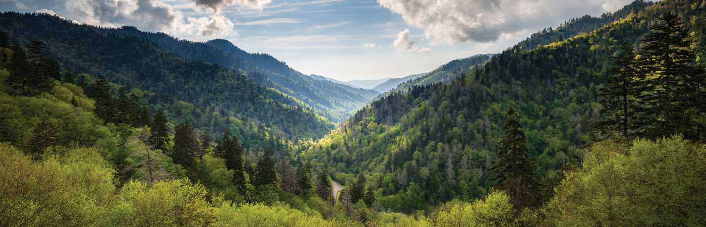 Gatlinburg, TN