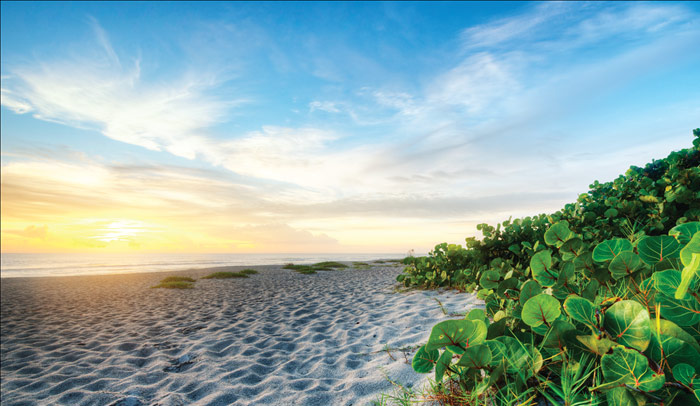 Destination photo of fortlauderdale