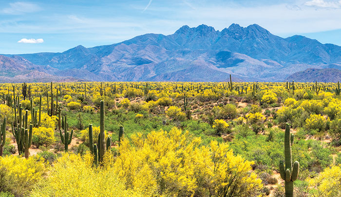 Destination photo of phoenix