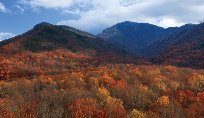 Destination photo of smokymountains